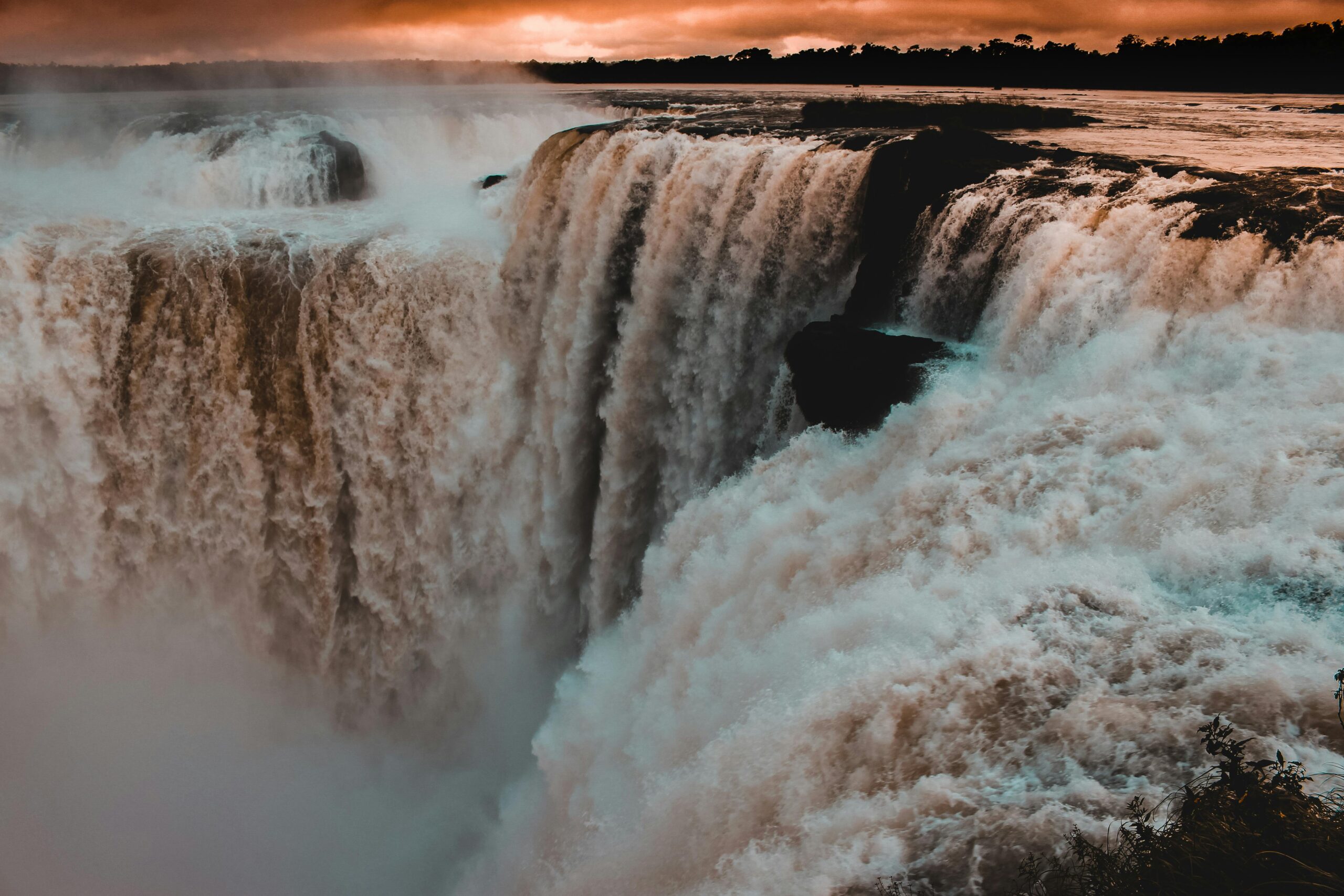 Zorro del Iguazú