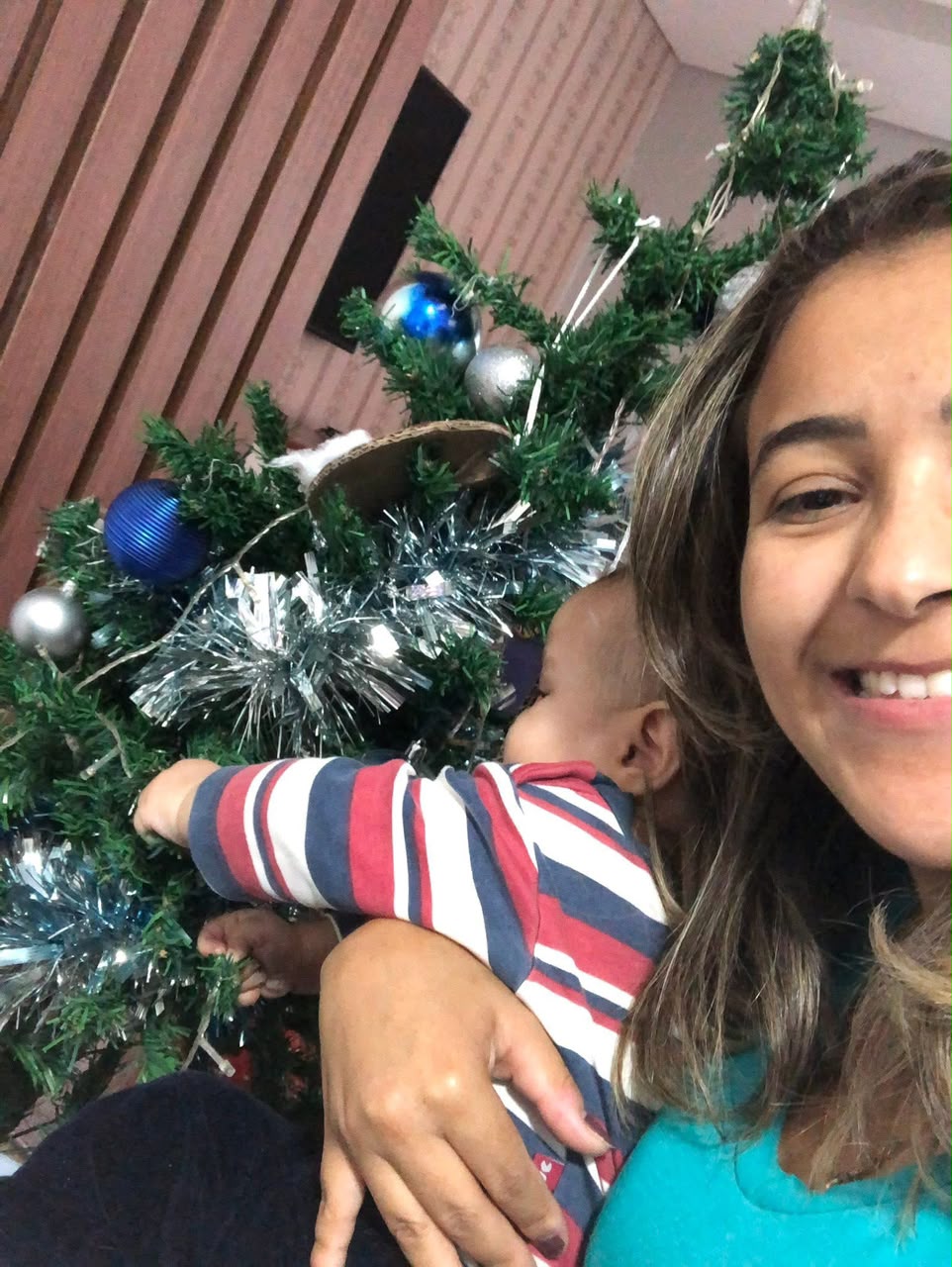 montando a arvore natal