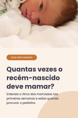 quantas vezes recém nascido deve mamar por dia